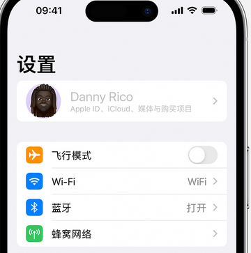 镇巴appleID维修服务iPhone设置中Apple ID显示为灰色无法使用 