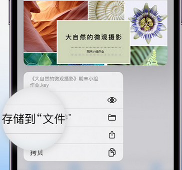 镇巴apple维修中心分享iPhone文件应用中存储和找到下载文件