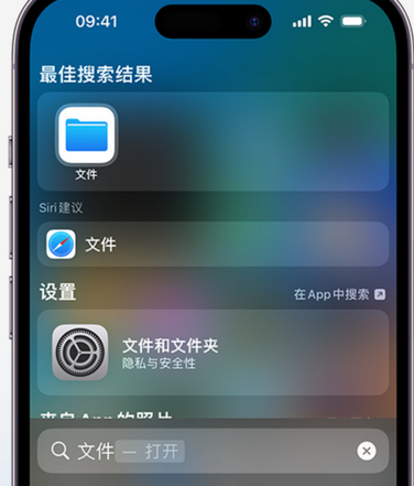 镇巴apple维修中心分享iPhone文件应用中存储和找到下载文件 