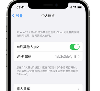 镇巴apple服务站点分享iPhone上个人热点丢失了怎么办 