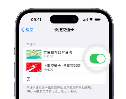 镇巴apple维修点分享iPhone上更换Apple Pay快捷交通卡手绘卡面 