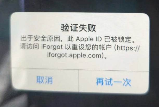 镇巴iPhone维修分享iPhone上正常登录或使用AppleID怎么办 