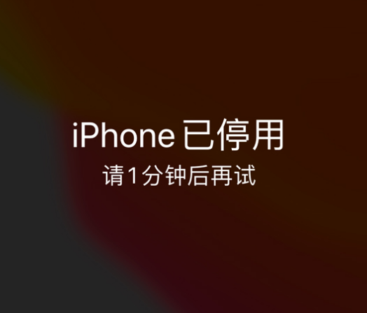 镇巴苹果手机维修分享:iPhone 显示“不可用”或“已停用”怎么办？还能保留数据吗？ 