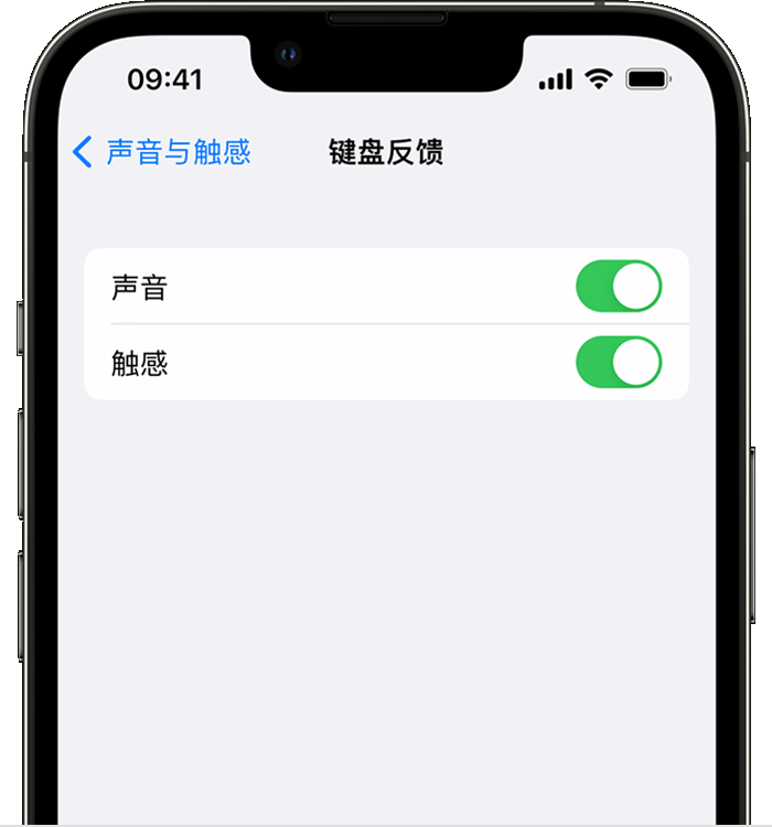 镇巴苹果14维修店分享如何在 iPhone 14 机型中使用触感键盘 