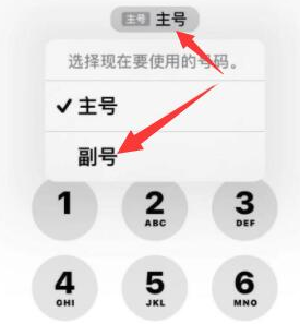 镇巴苹果14维修店分享iPhone 14 Pro Max使用副卡打电话的方法 