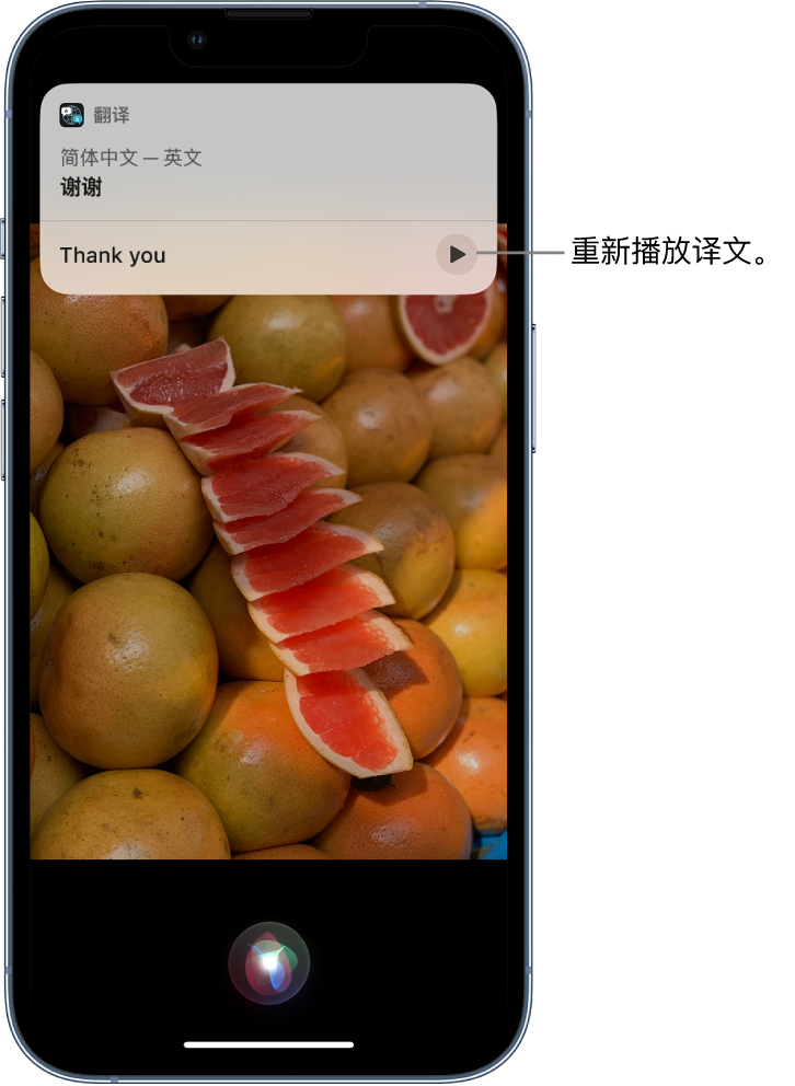 镇巴苹果14维修分享 iPhone 14 机型中使用 Siri：了解 Siri 能帮你做什么 