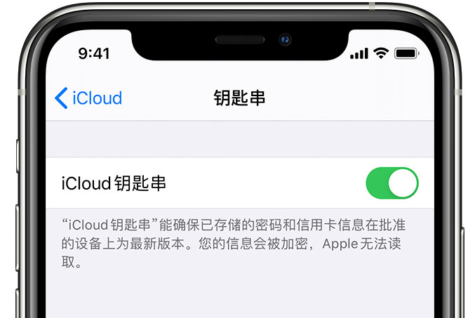 镇巴苹果手机维修分享在 iPhone 上开启 iCloud 钥匙串之后会储存哪些信息 