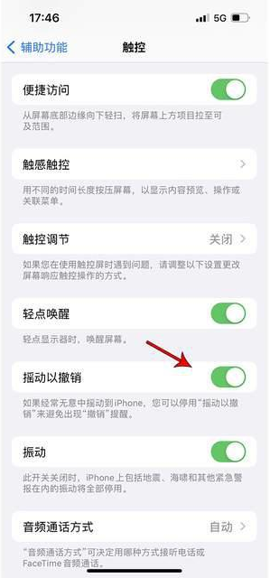 镇巴苹果手机维修分享iPhone手机如何设置摇一摇删除文字 